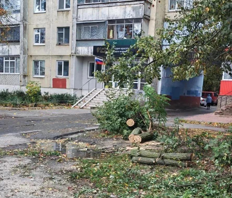 В Курске распилили упавшие деревья на улице Пионеров и двух проспектах