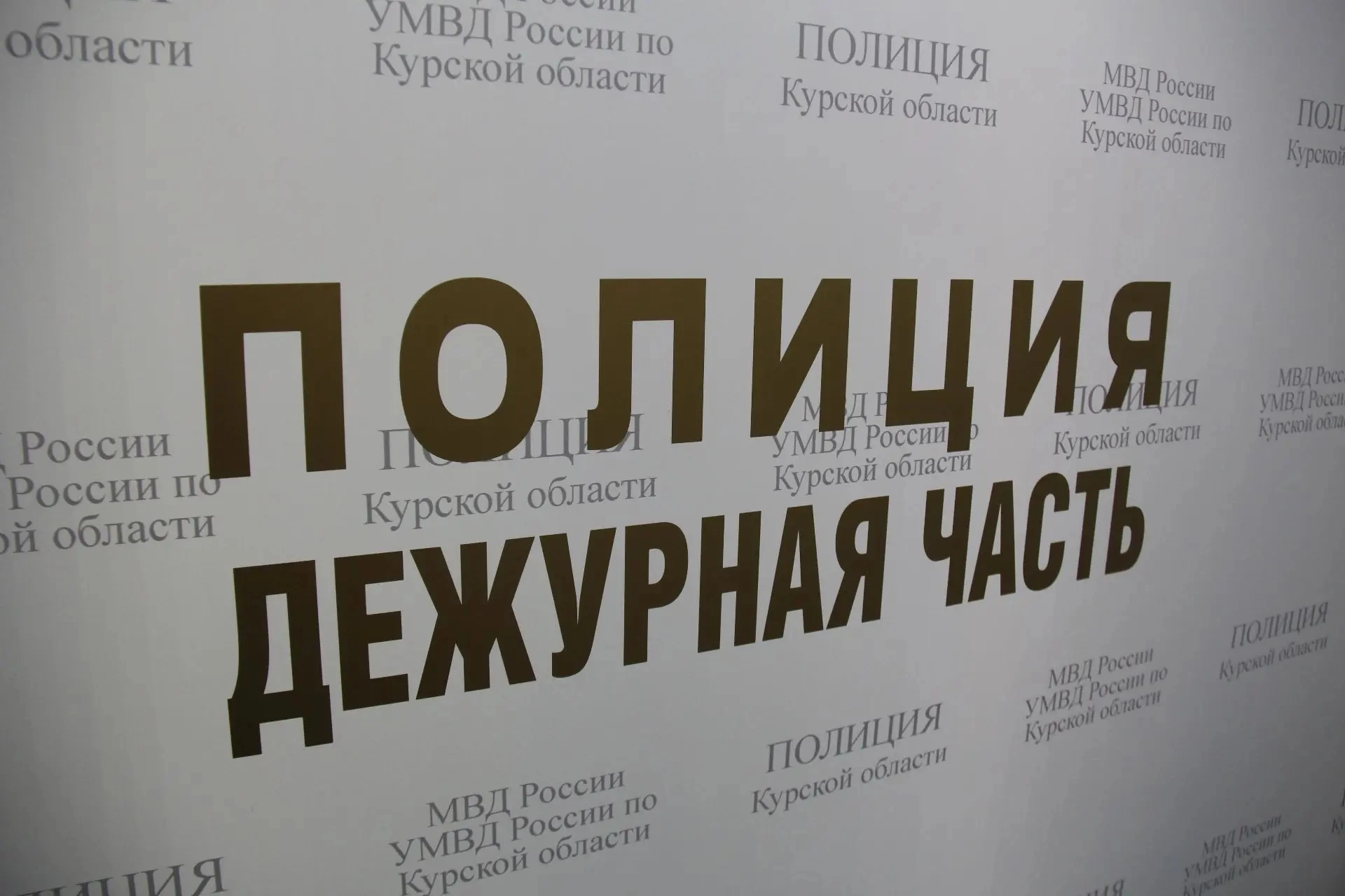  В Курске сотрудники уголовного розыска расследовали и раскрыли кражу бильярдного кия