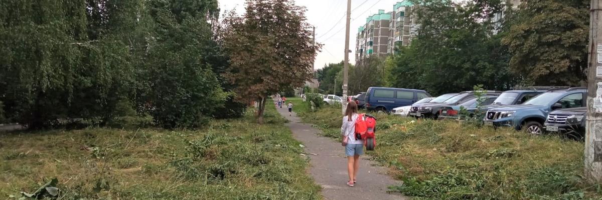 За неделею в Курске выдано 132 уведомления о наведении порядка на улицах