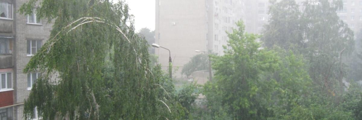 В Курской области прогнозируют дожди с грозами