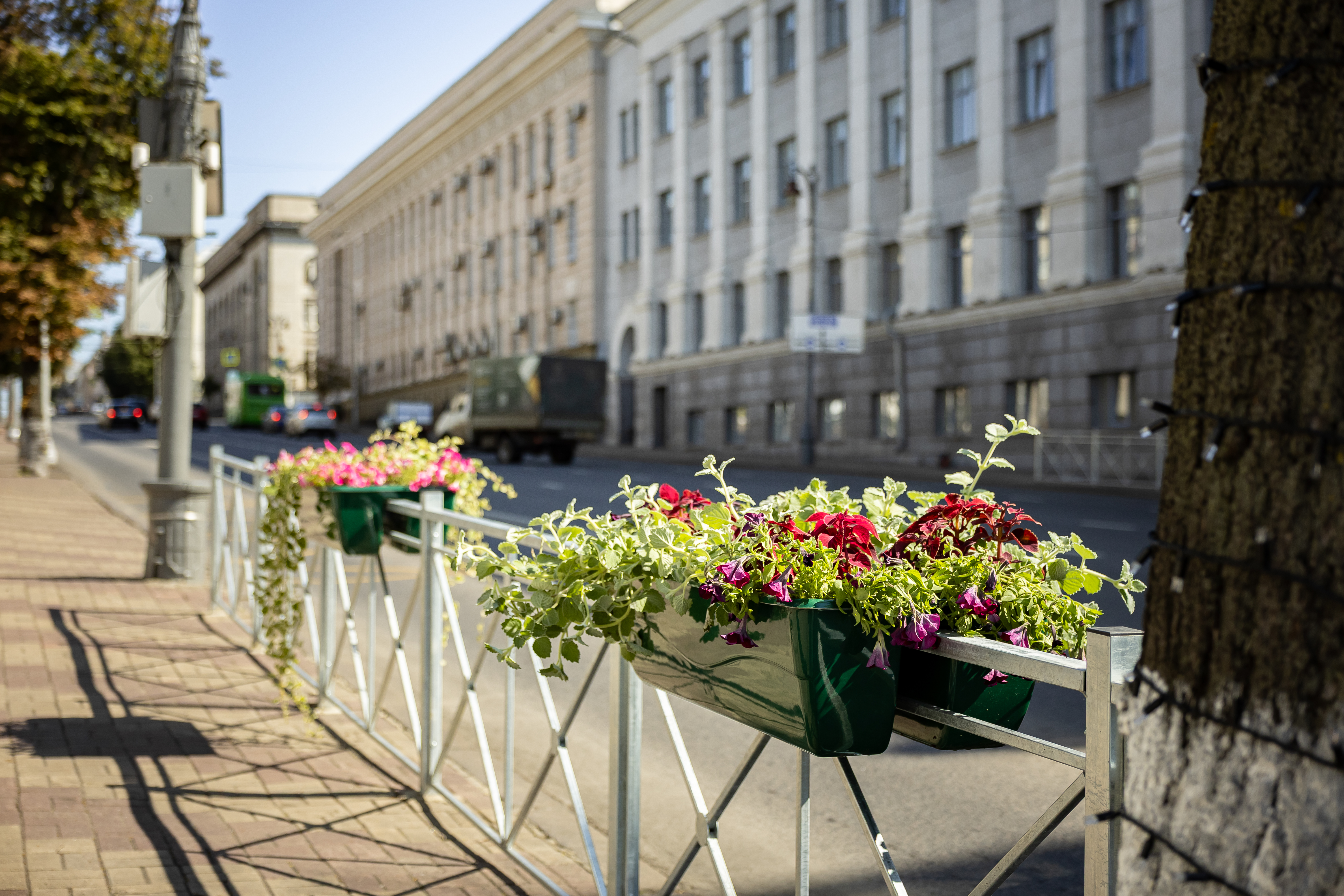 Городские Известия № 62 (5207)