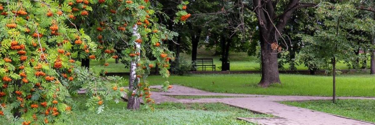 В Курске в Первомайском парке установили новые лавочки