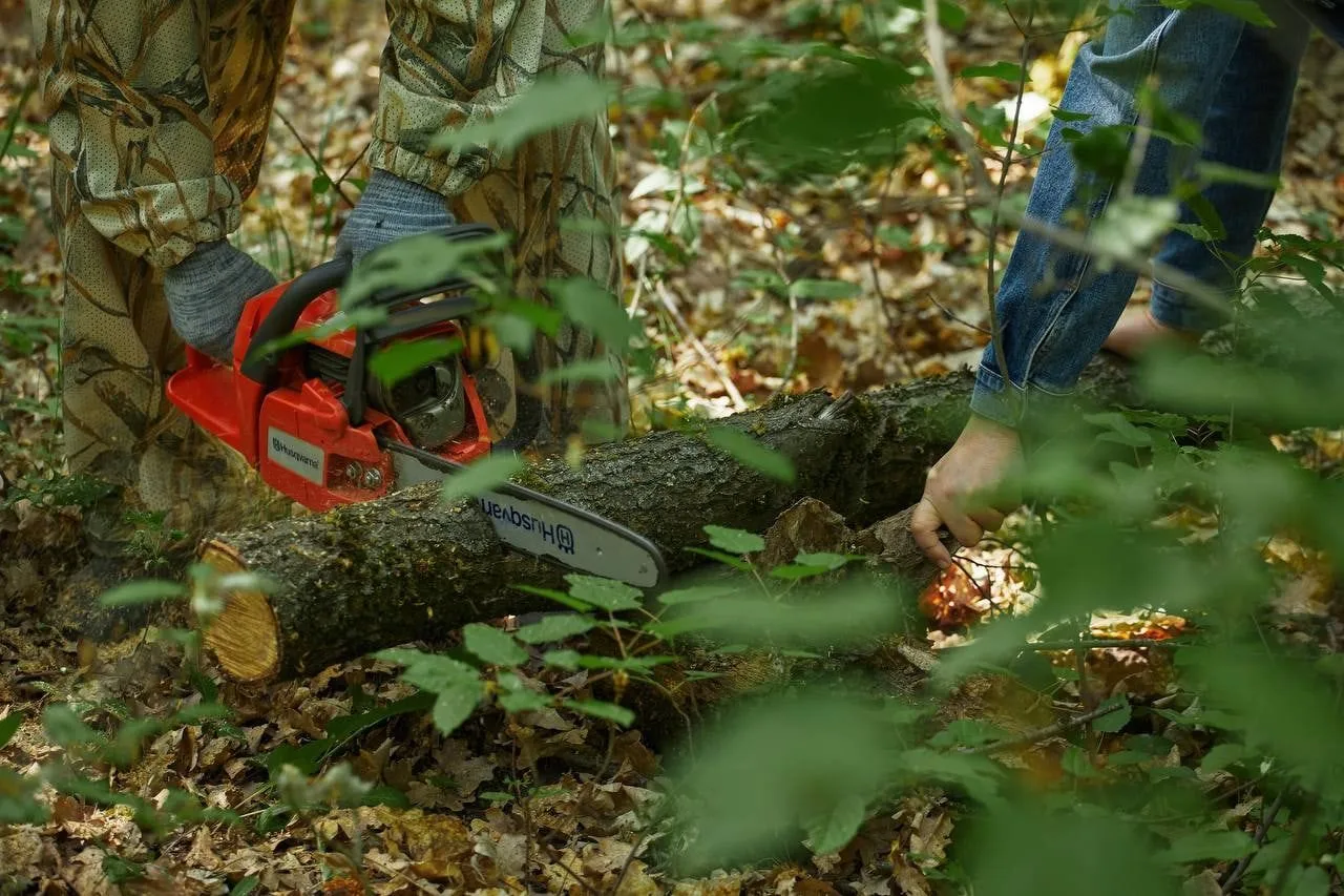 В Курске проработают вопрос своевременной уборки территорий после опила деревьев